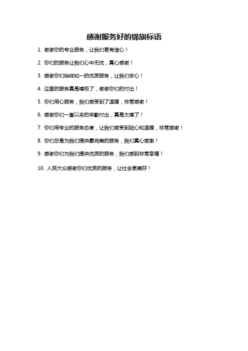感谢服务好的锦旗标语
