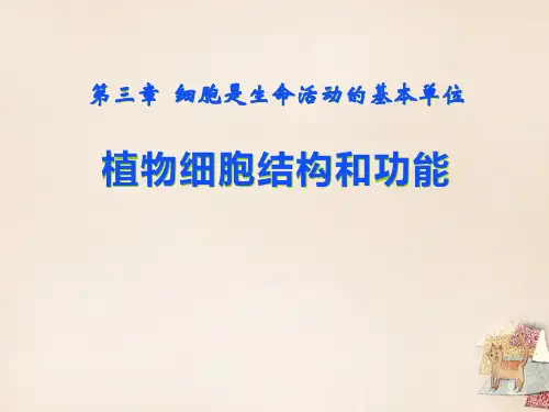 植物细胞的结构与功能(33张PPT)