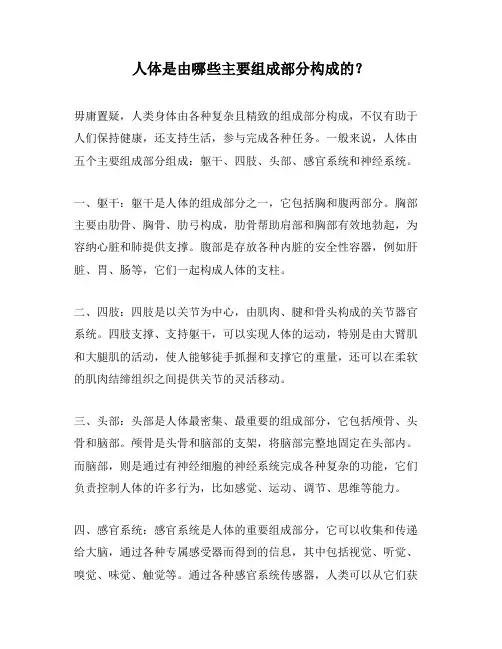 人体是由哪些主要组成部分构成的？