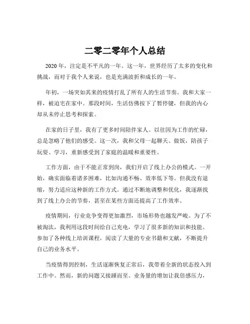 二零二零年个人总结