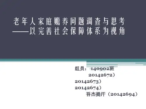 老年人家庭赡养问题调查与思考 ppt课件