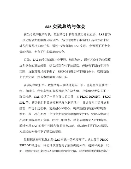 sas实践总结与体会
