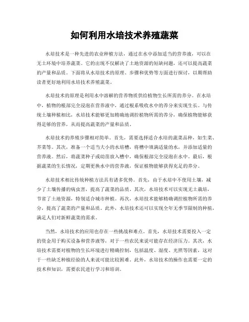 如何利用水培技术养殖蔬菜