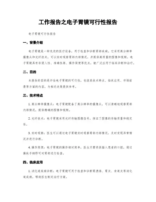 工作报告之电子胃镜可行性报告
