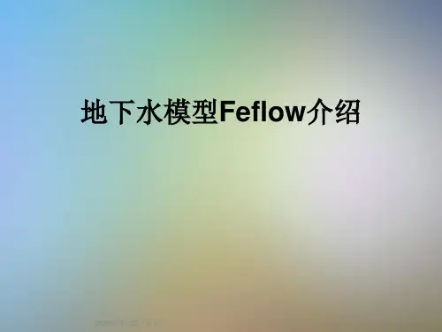 地下水模型Feflow介绍
