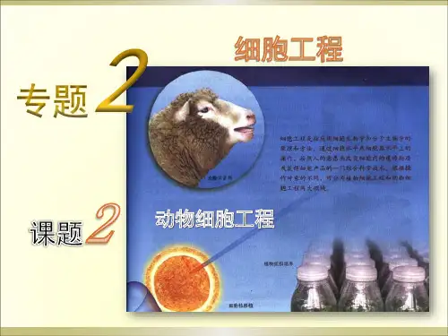 高中生物(新人教版)选修三：专题2《细胞工程》：2.2《动物细胞工程》课件(新人教版选修3)