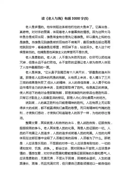 读《老人与海》有感3000字（5）