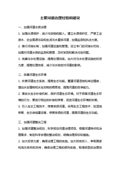 主要河道治理经验和建议