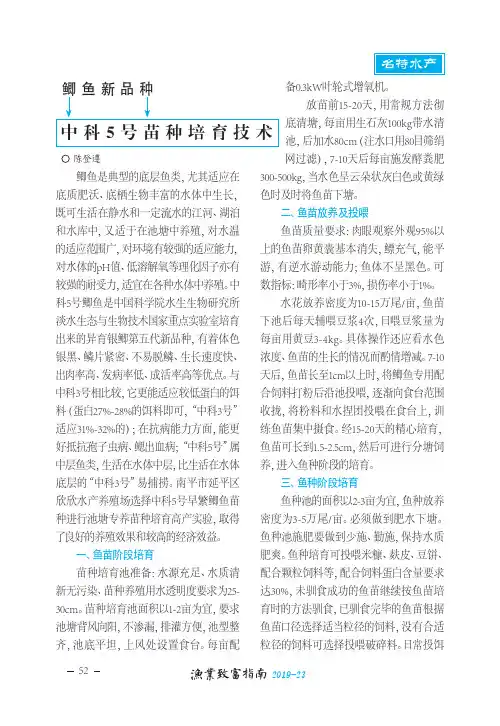 鲫鱼新品种 中科5号苗种培育技术