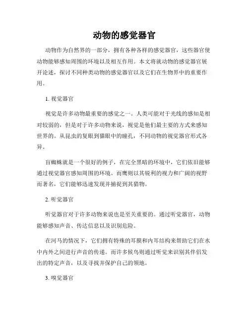动物的感觉器官