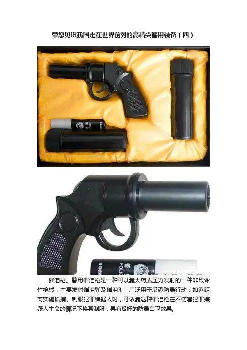 带您见识我国走在世界前列的高精尖警用装备（四）