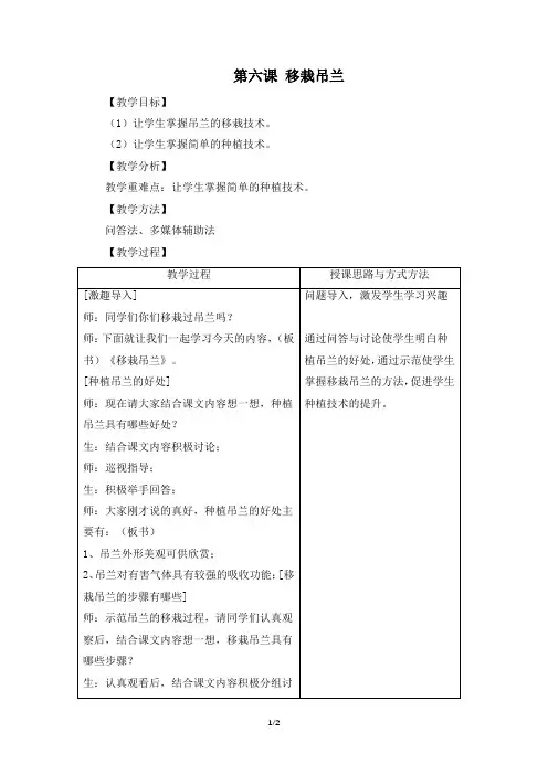 《第六课 移栽吊兰》参考教案