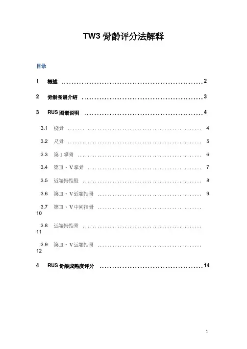 TW3骨龄评分法解释