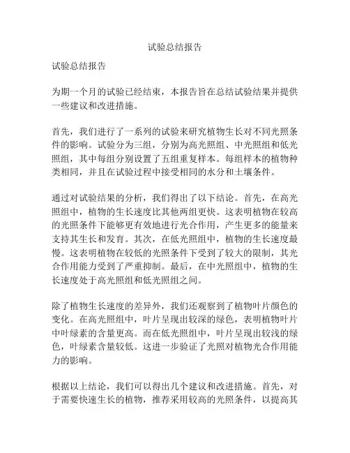 试验总结报告