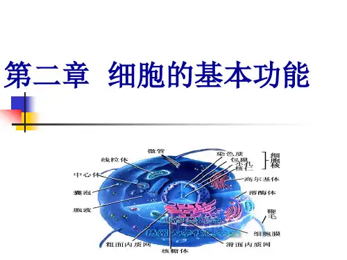 动物生理学 第二章 细胞的基本功能