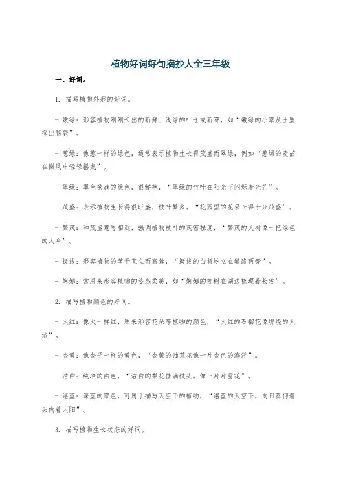 植物好词好句摘抄大全三年级