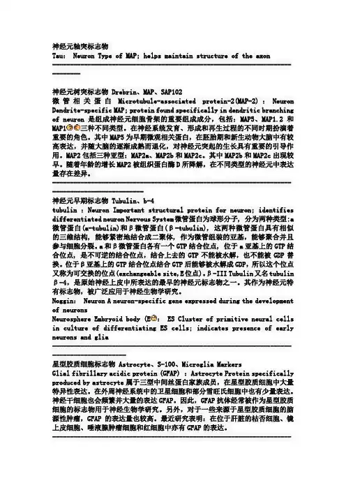 神经元轴突标志物