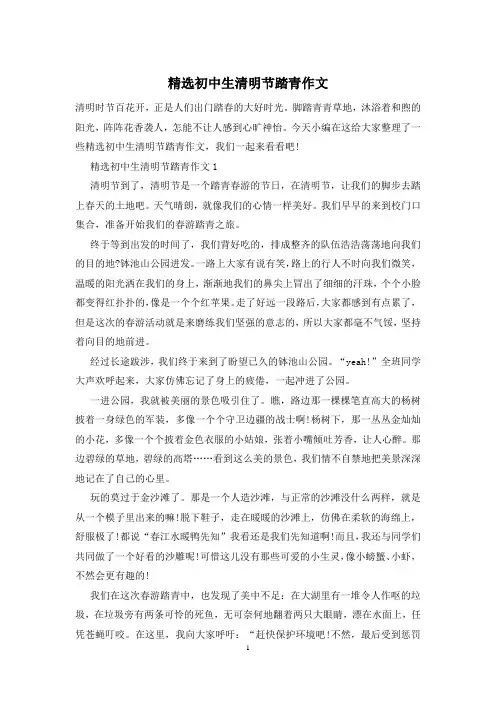 精选初中生清明节踏青作文