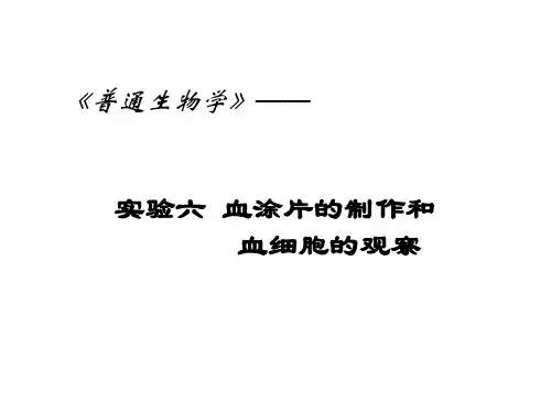血涂片制作