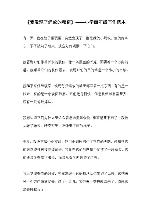 《我发现了蚂蚁的秘密》——小学四年级写作范本