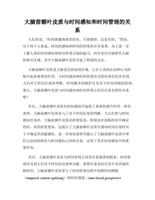 大脑前额叶皮质与时间感知和时间管理的关系