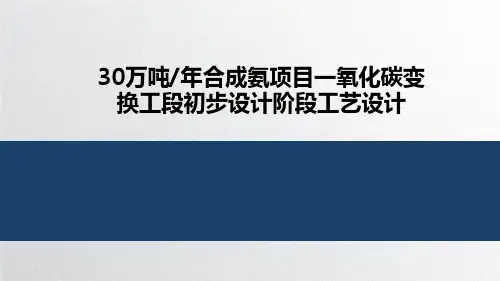 30万吨年合成氨项目一氧化碳变换工段初步设计阶段工艺设计 答辩PPT