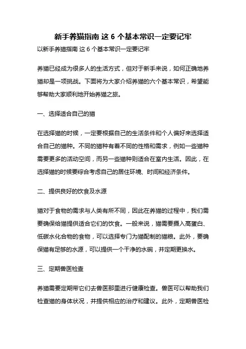 新手养猫指南 这6个基本常识一定要记牢