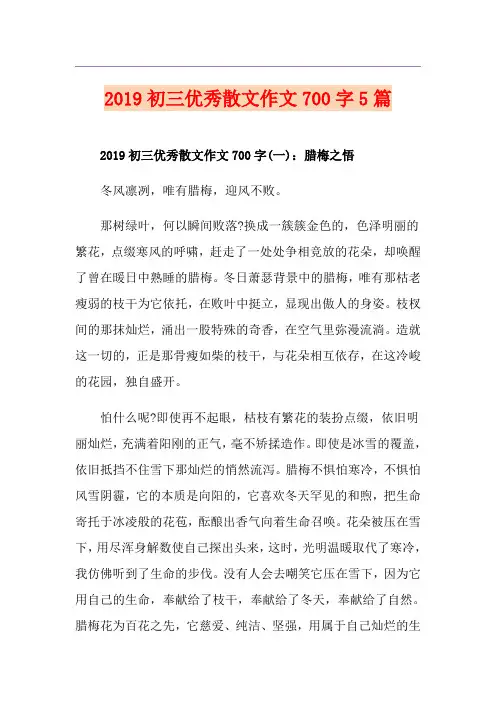 初三优秀散文作文700字5篇