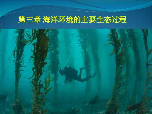 环境海洋学课件第三章海洋环境的主要生态过程