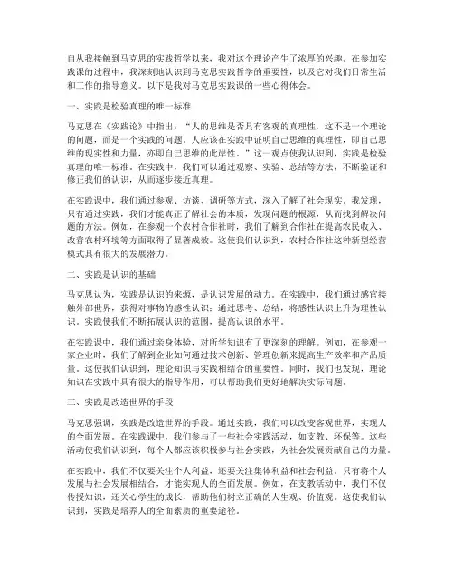 马克思实践课心得