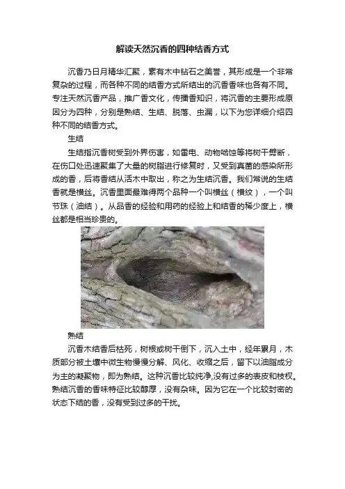 解读天然沉香的四种结香方式