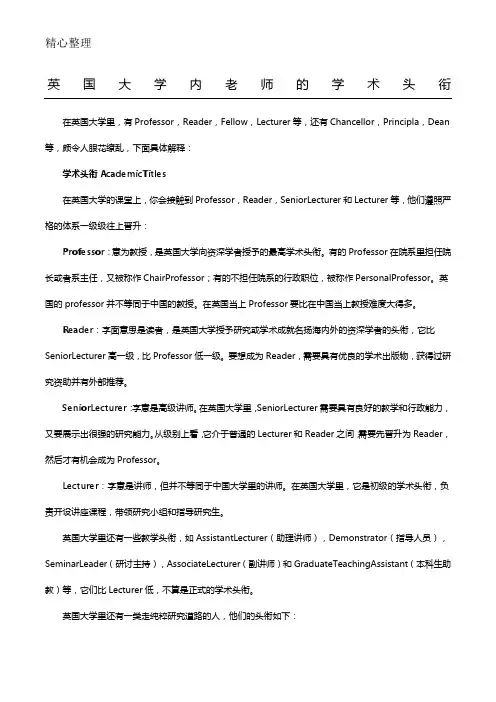 英国大学内老师的学术头衔