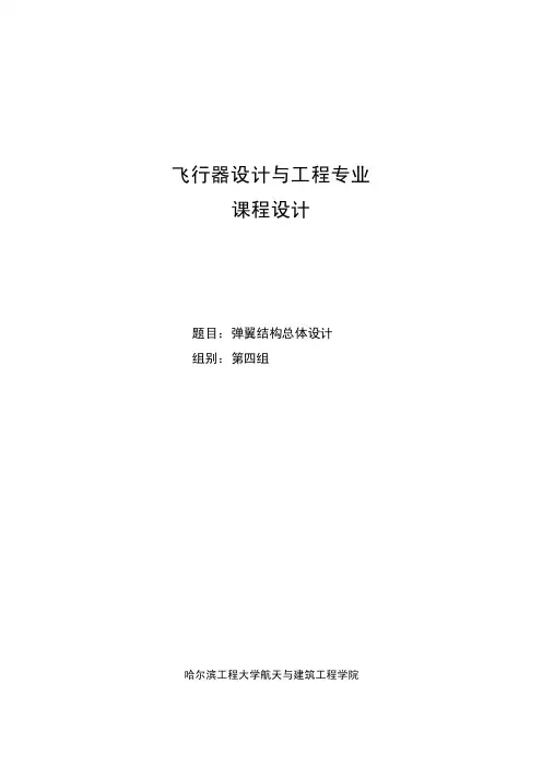 导弹弹翼设计-哈尔滨工程大学飞行器设计专业