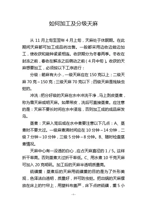 如何加工及分级天麻