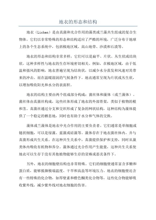 地衣的形态和结构