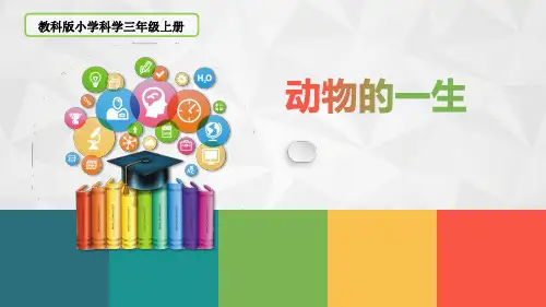 最新科教版小学三年级科学下册《动物的一生》教学课件
