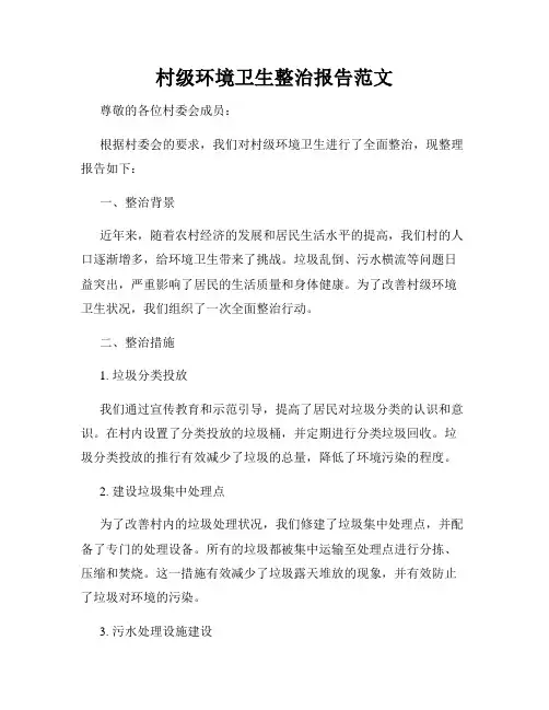村级环境卫生整治报告范文