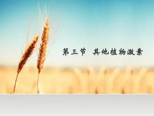 必修3-3.3其他植物激素(文科)