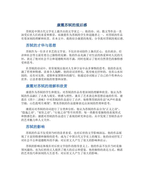 康震苏轼的观后感