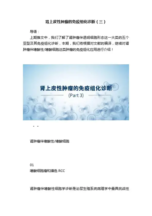 肾上皮性肿瘤的免疫组化诊断（三）
