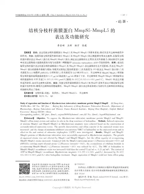 结核分枝杆菌膜蛋白Mmp-MmpL5的表达及