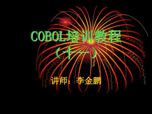 COBOL培训教程-11