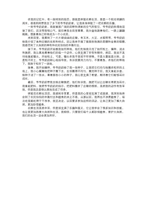 我体验的农耕生活