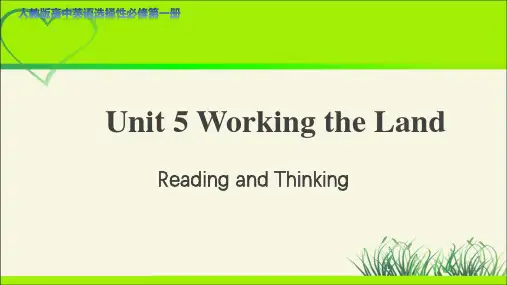 Unit 5 Reading and Thinking教学课件(英语选择性必修第一册人教版)