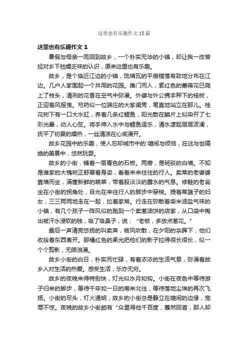 这里也有乐趣作文15篇