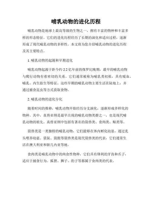 哺乳动物的进化历程