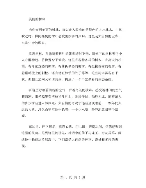 作文美丽的树林范文