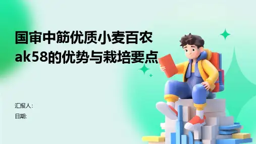 国审中筋优质小麦百农AK58的优势与栽培要点