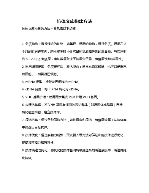 抗体文库构建方法