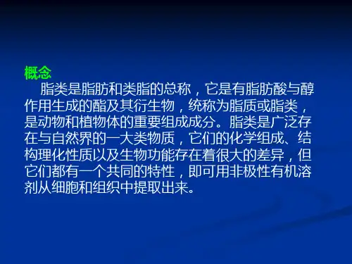 生物学脂类的代谢